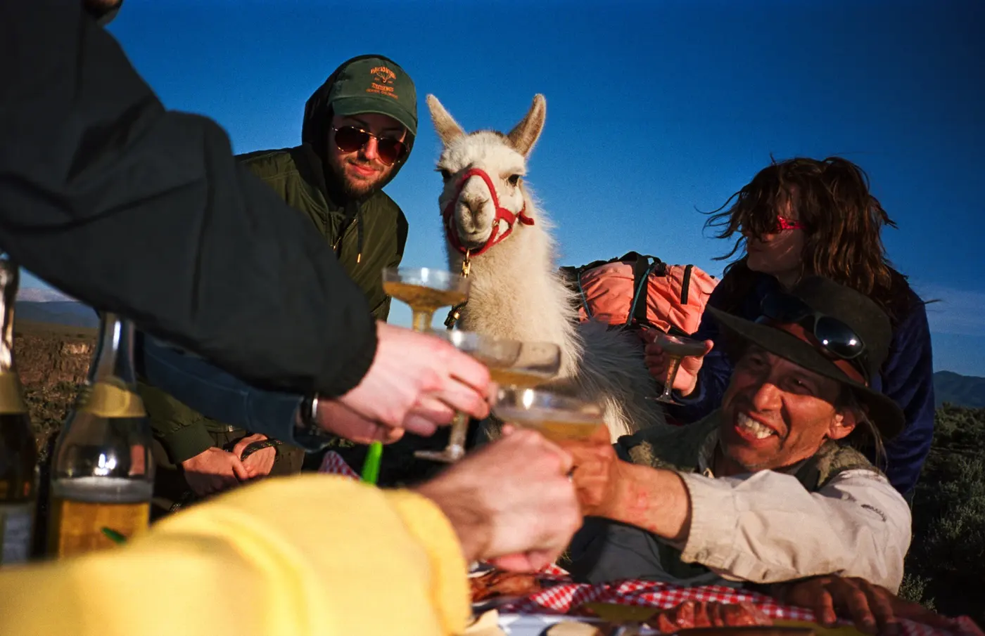 Llama