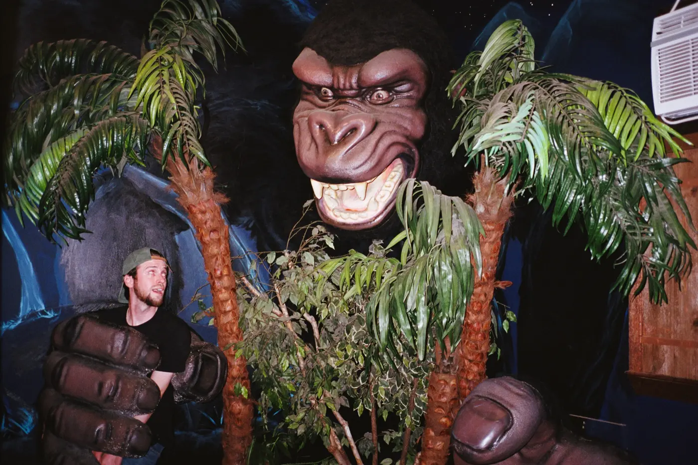 Museum of the Weird