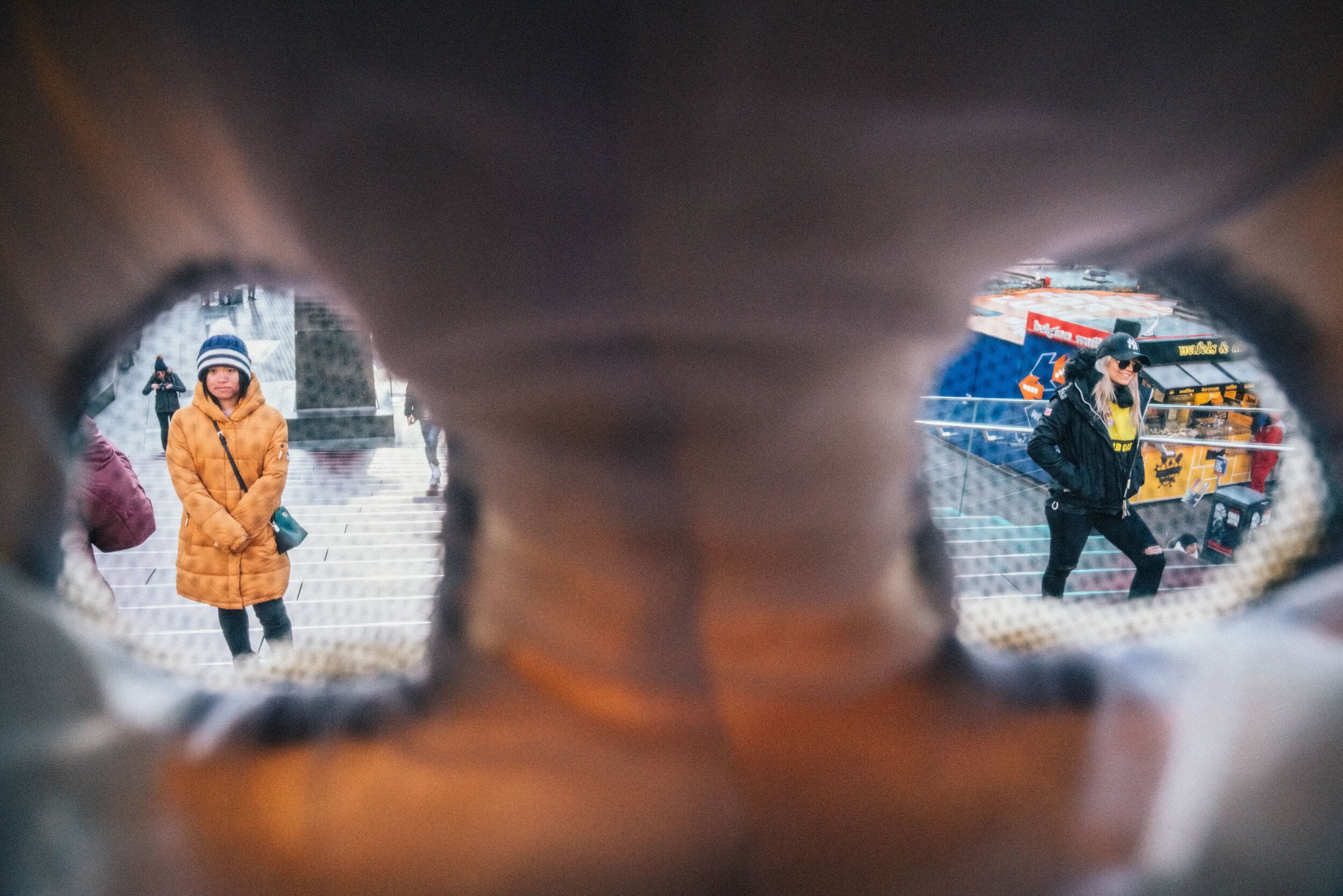 Bear Suit Surveillance — 8