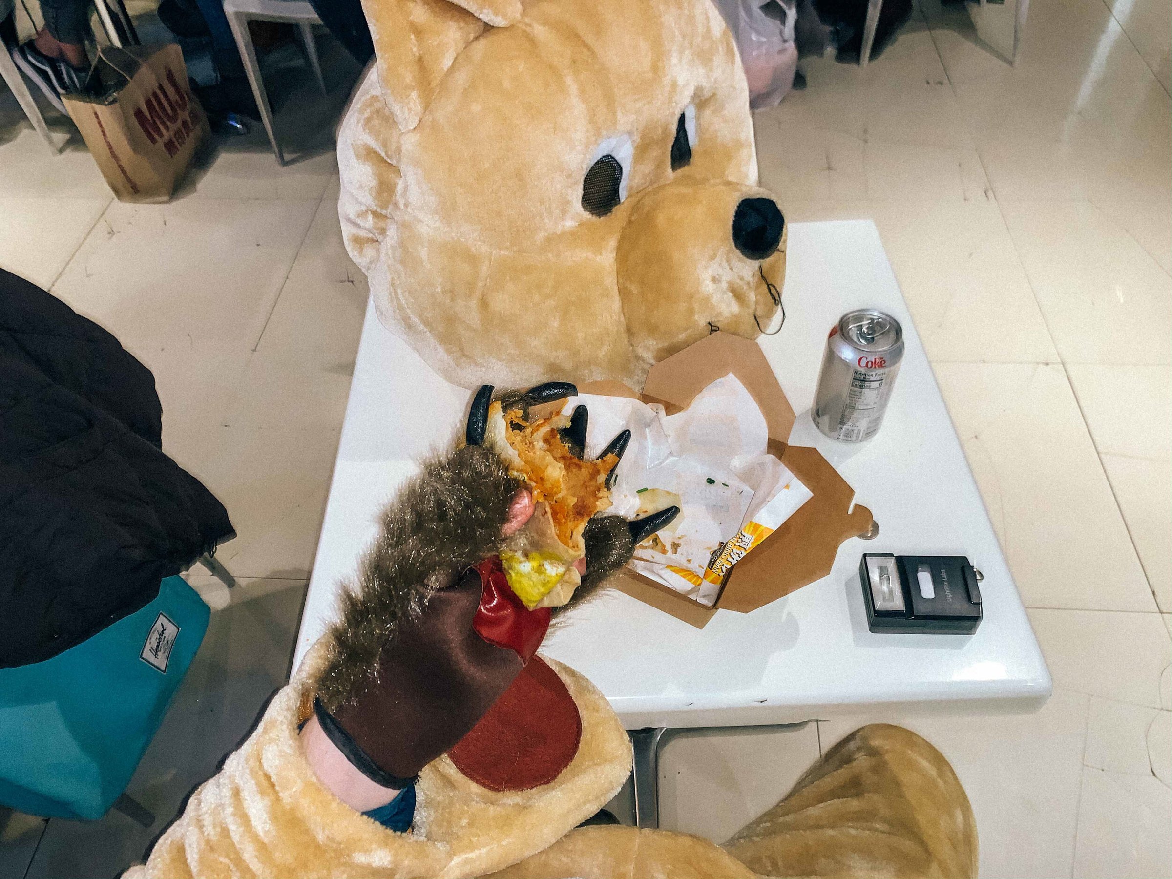 Bear Suit Surveillance — 32