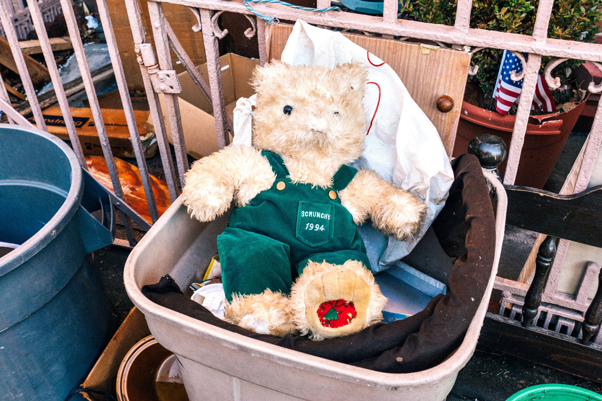 Bear Suit Surveillance — 36