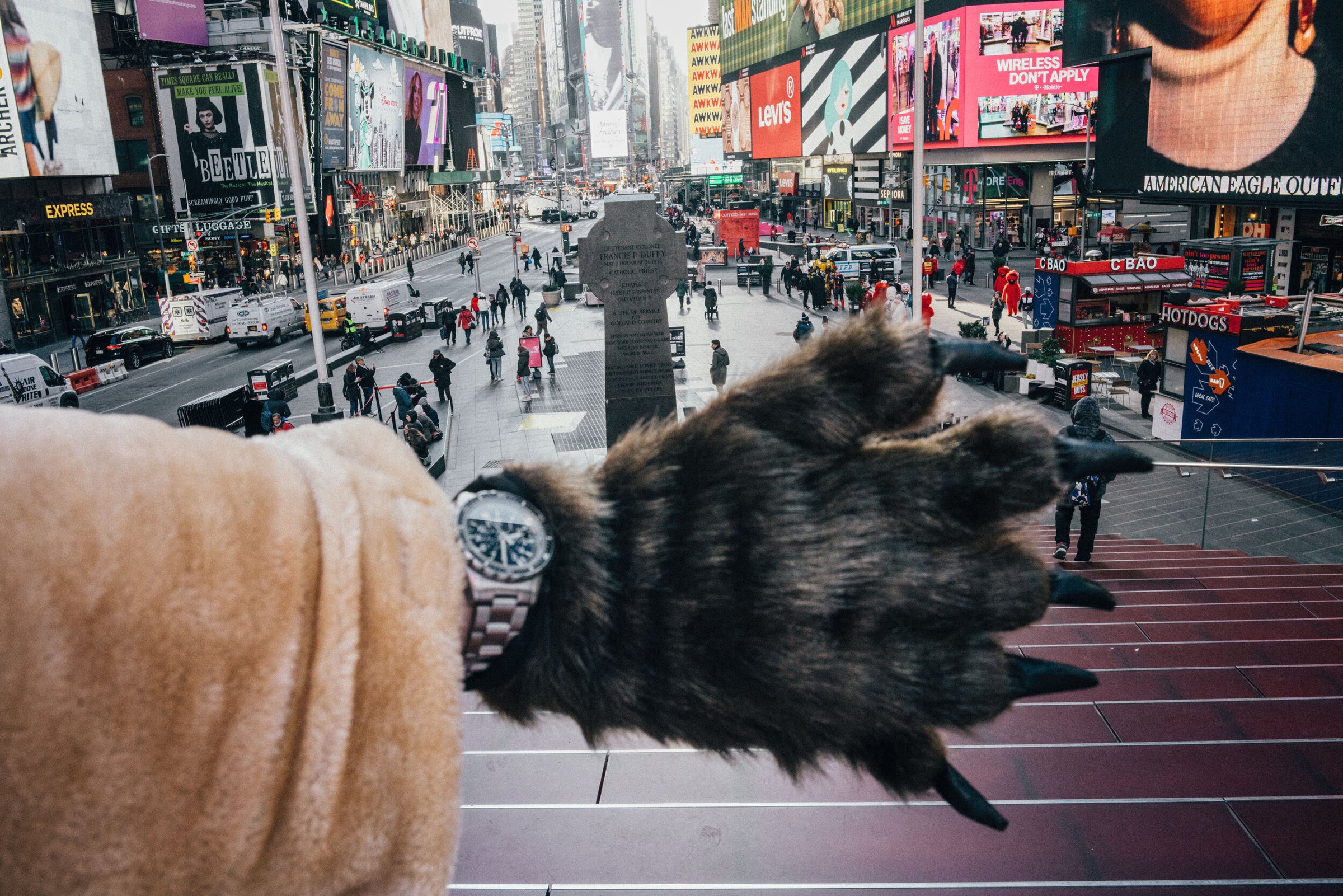 Bear Suit Surveillance — 41
