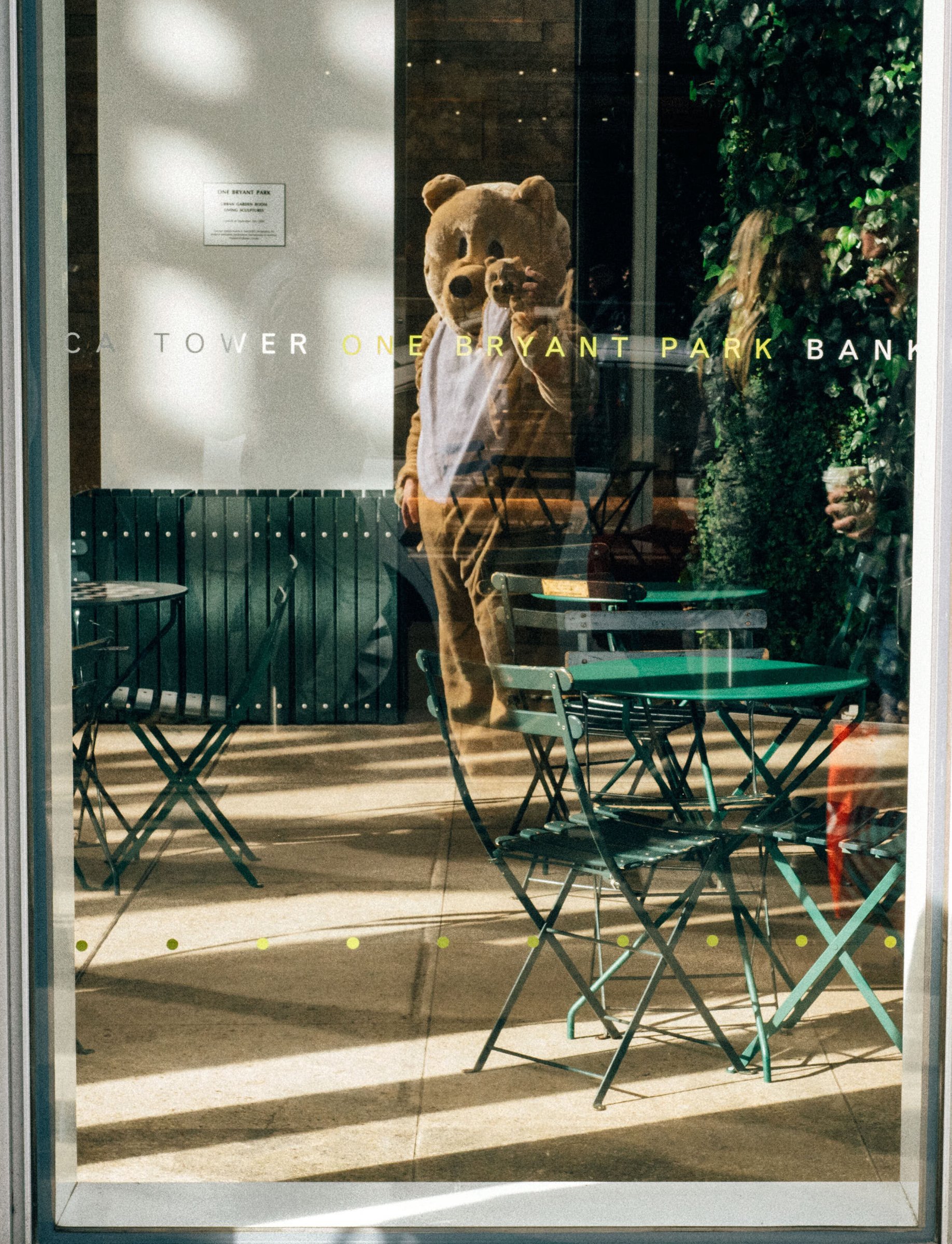 Bear Suit Surveillance — 42
