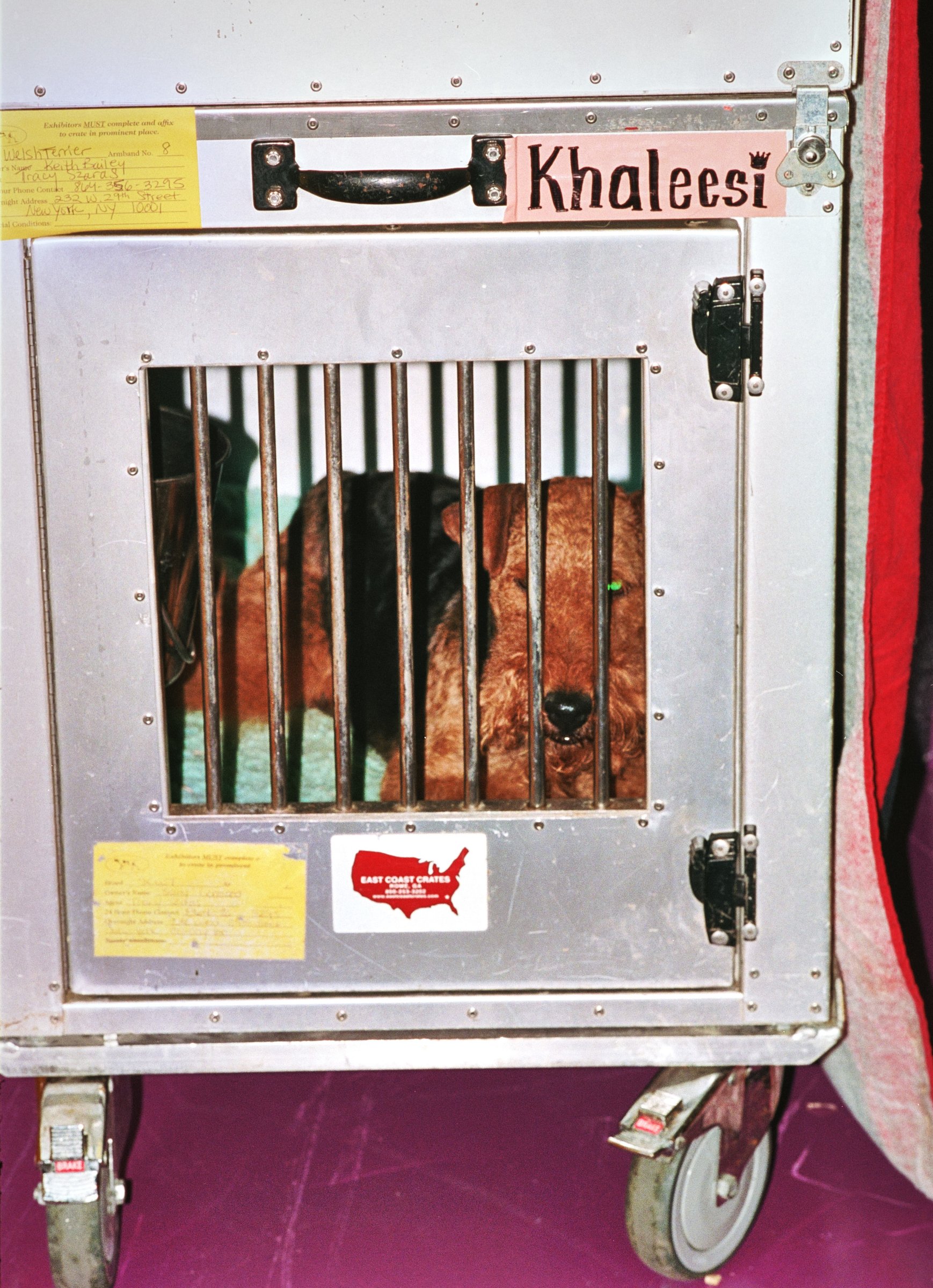 People at The Dog Show — 5