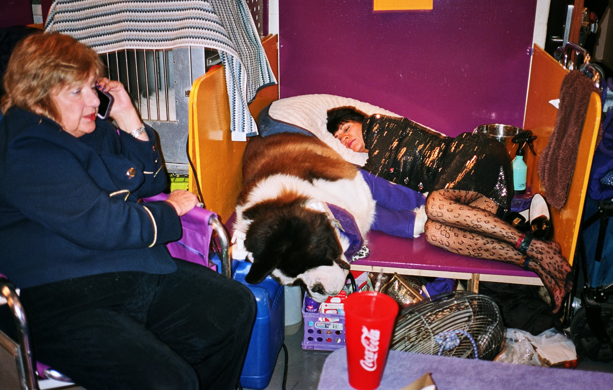 People at The Dog Show — 12