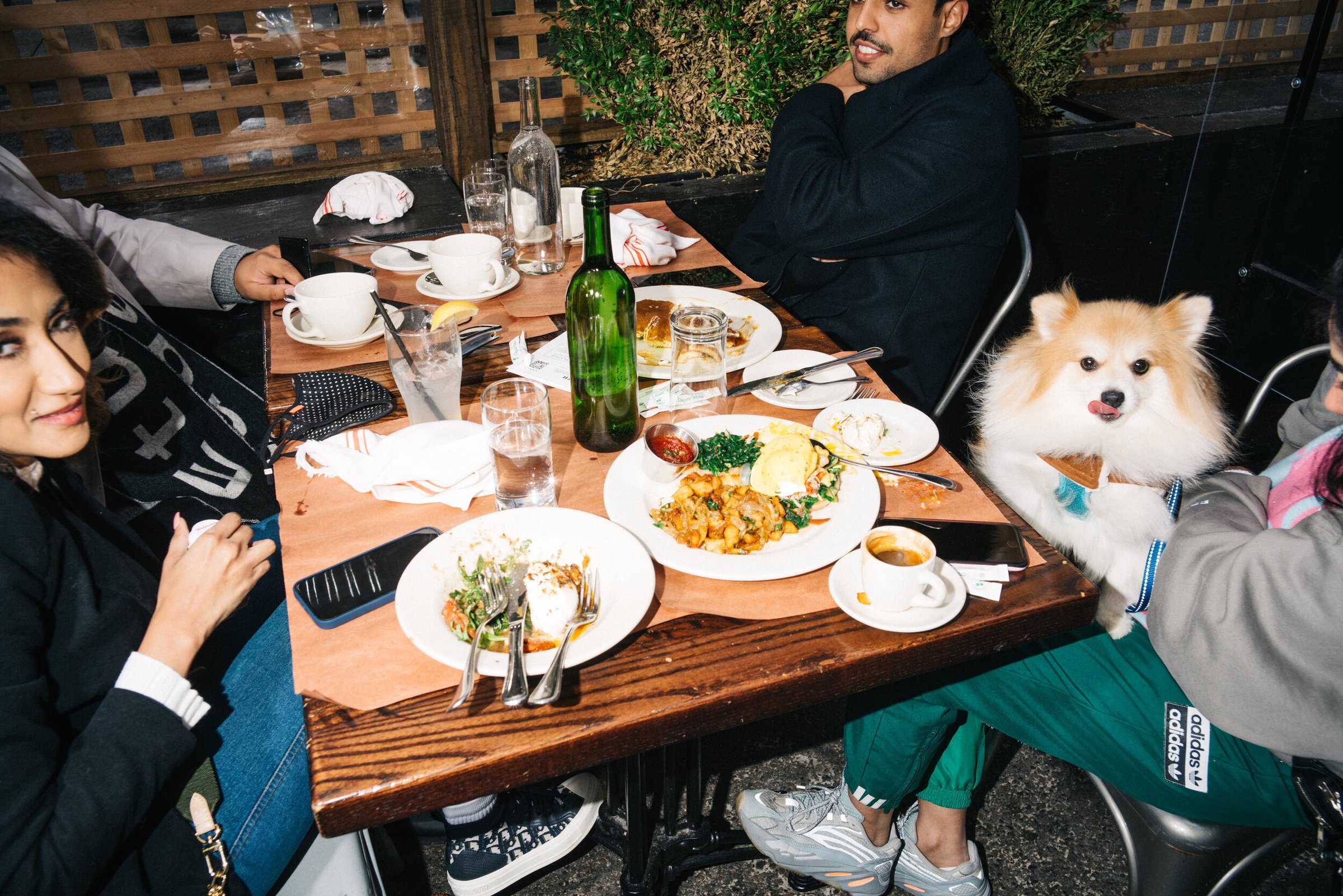 Outdoor Dining — 16