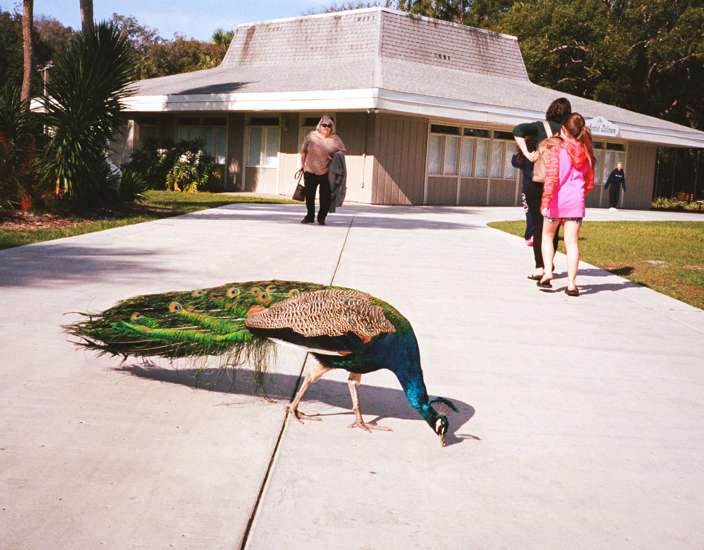 Selected Images — 12