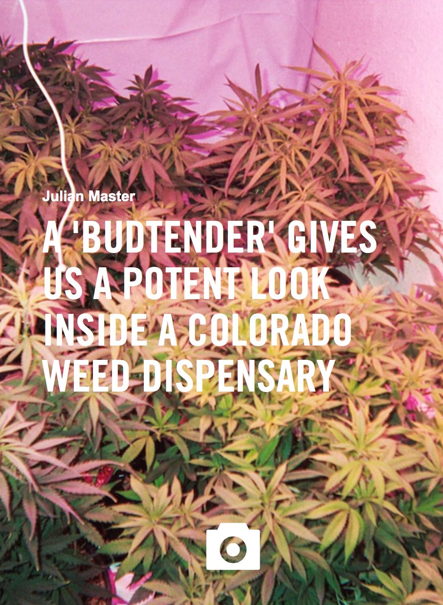 Colorado Weed Dispensary Budtender Photos