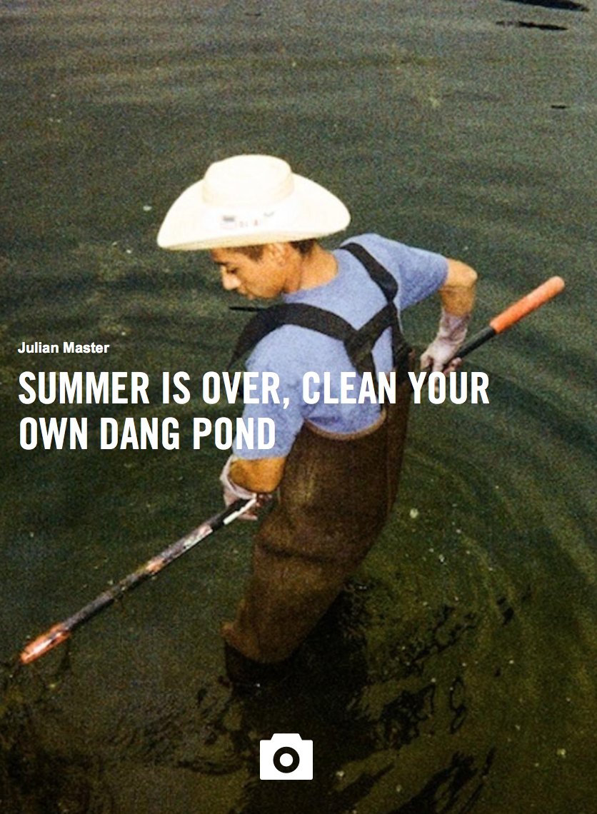 Pond Scum Cleaner